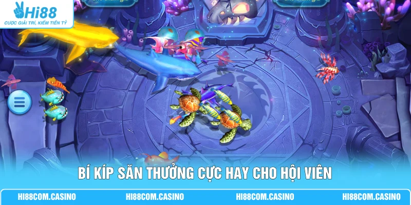Bí kíp săn thưởng cực hay cho hội viên