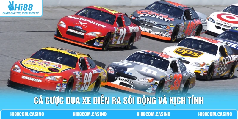 Cá cược đua xe diễn ra sôi động và kịch tính