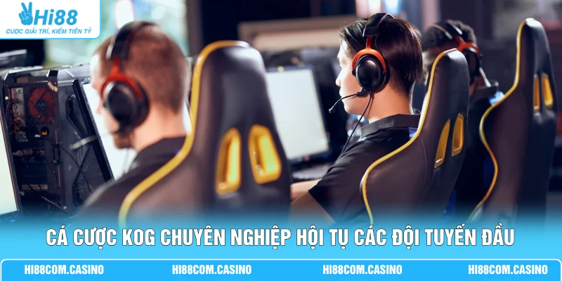 Cá cược KOG chuyên nghiệp hội tụ các đội tuyến đầu