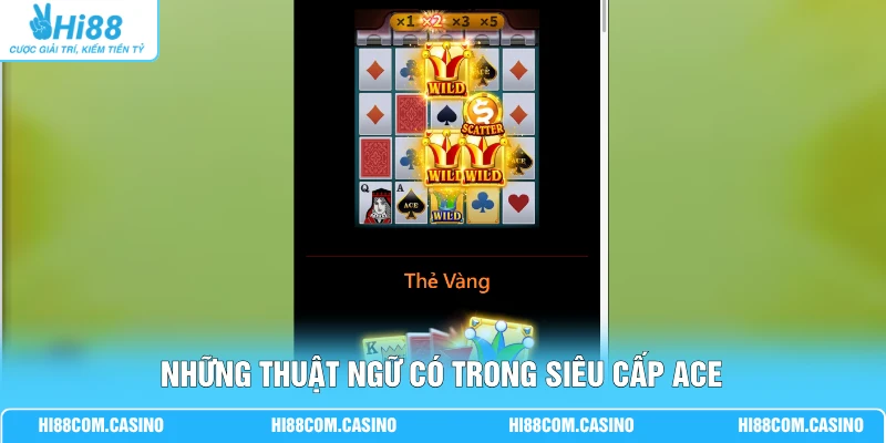 Những thuật ngữ có trong siêu cấp Ace