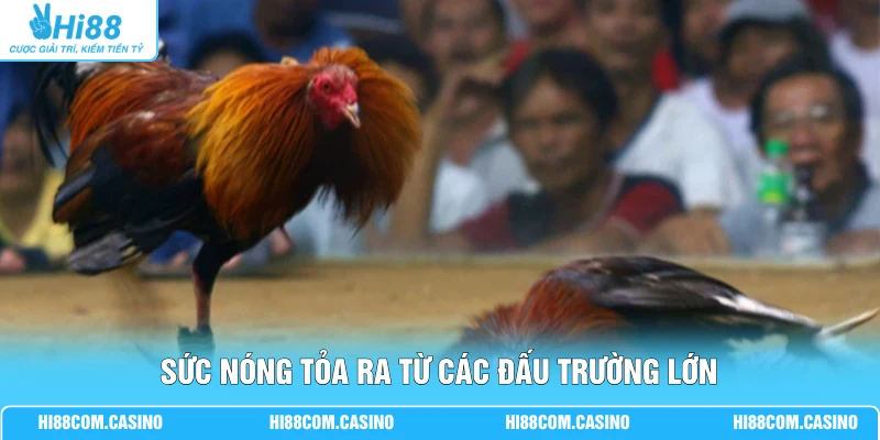 Sức nóng tỏa ra từ các đấu trường lớn