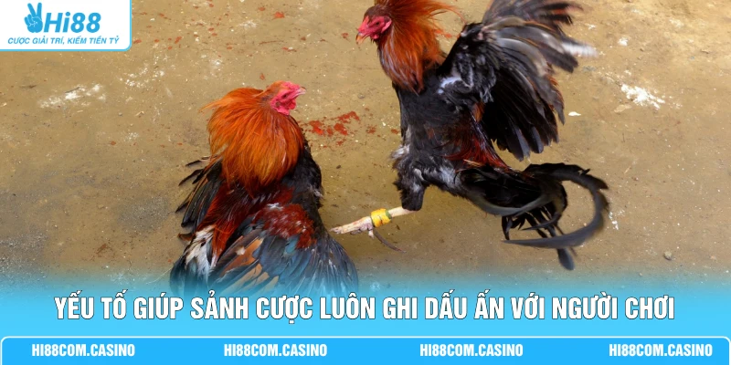 Yếu tố giúp sảnh cược luôn ghi dấu ấn với người chơi